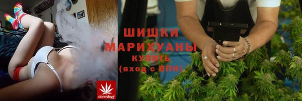 эйфоретик Инта