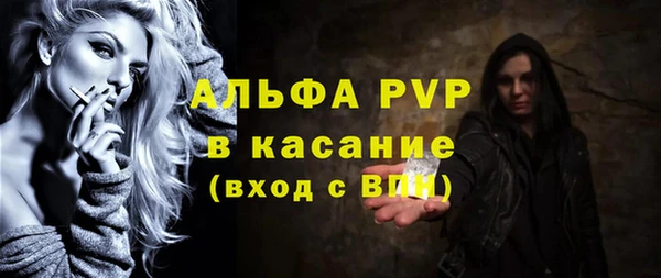 эйфоретик Инта
