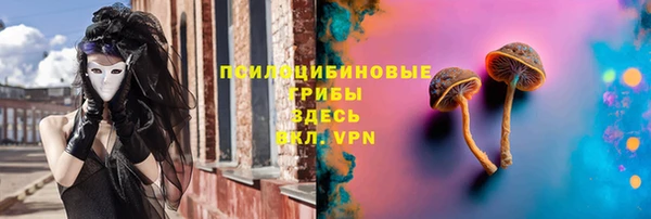 меф Инсар
