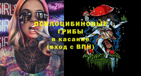 эйфоретик Инта