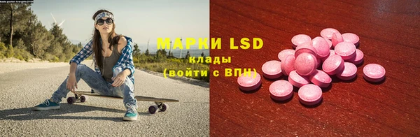 ГАЛЛЮЦИНОГЕННЫЕ ГРИБЫ Иннополис