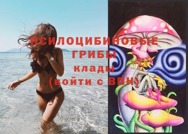ГАЛЛЮЦИНОГЕННЫЕ ГРИБЫ Иннополис
