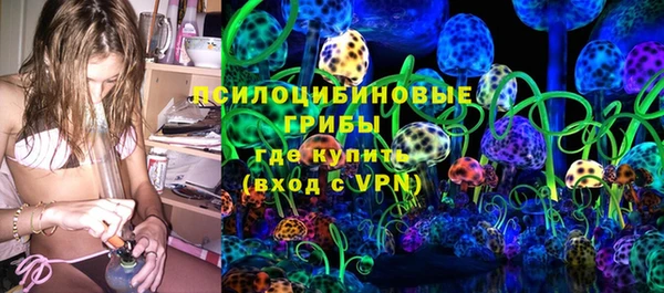 ГАЛЛЮЦИНОГЕННЫЕ ГРИБЫ Иннополис