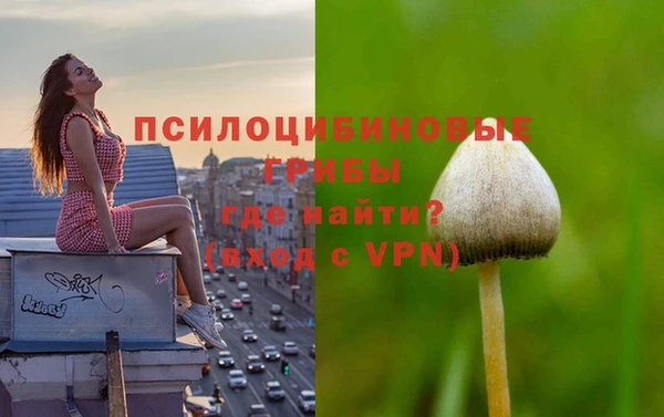 меф Инсар