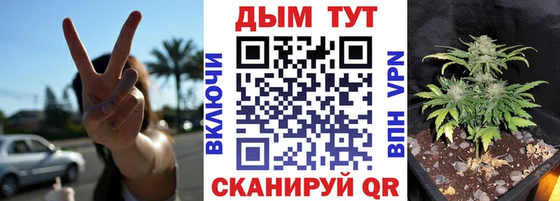 Купить закладки  Емва  Шишки марихуана план 